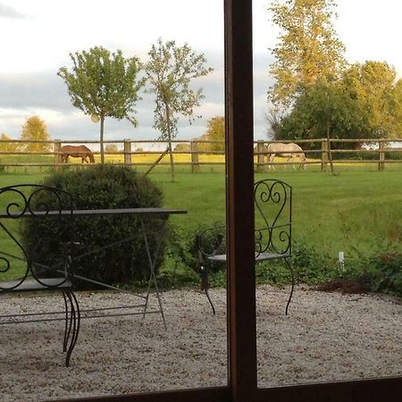 Bed and Breakfast Haras Des Leudets Blangy-le-Chateau Екстер'єр фото